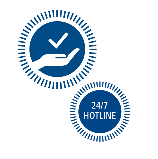 BMS Icon RZ Service