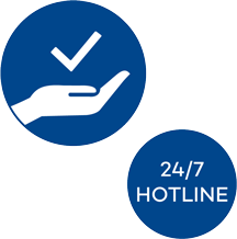 BMS Icon RZ Service